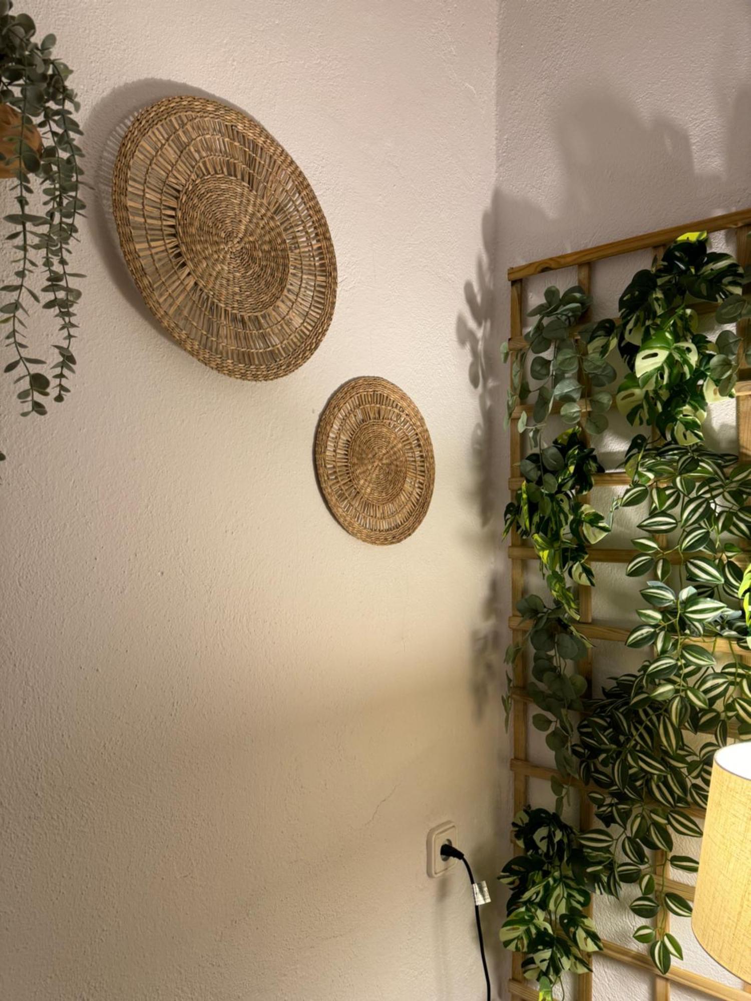 Garden Suites Xativa Casa Rural Экстерьер фото